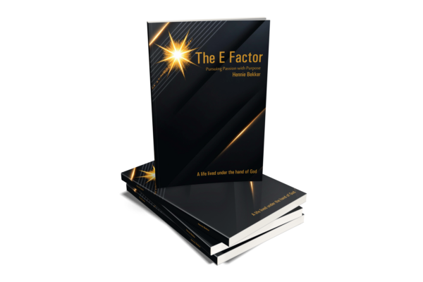 The E Factor (Paperback)